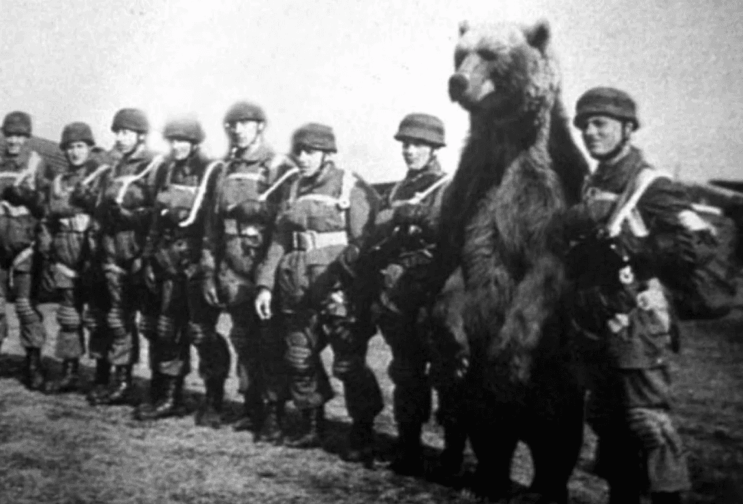 Wojtek with Polish soldiers during WWII