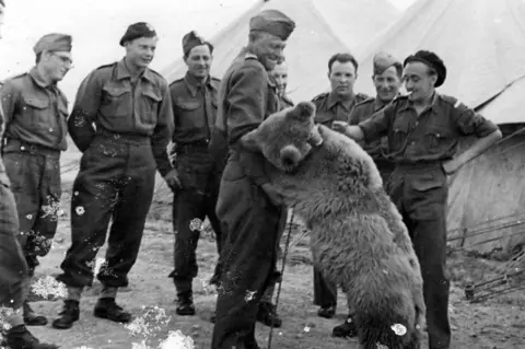 The real Wojtek with Polish soldiers
